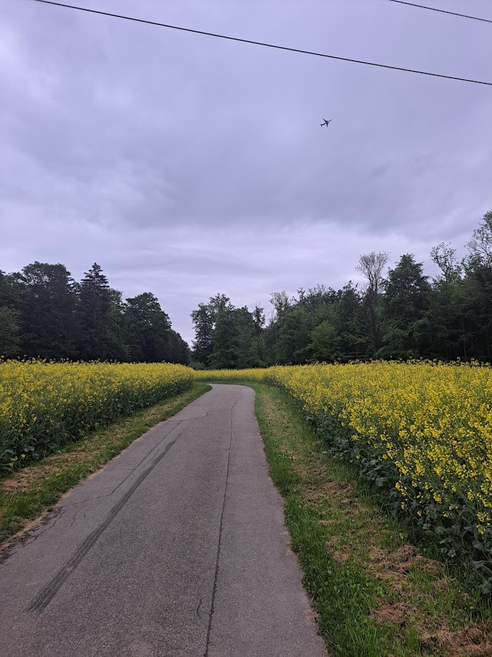Good View while biking